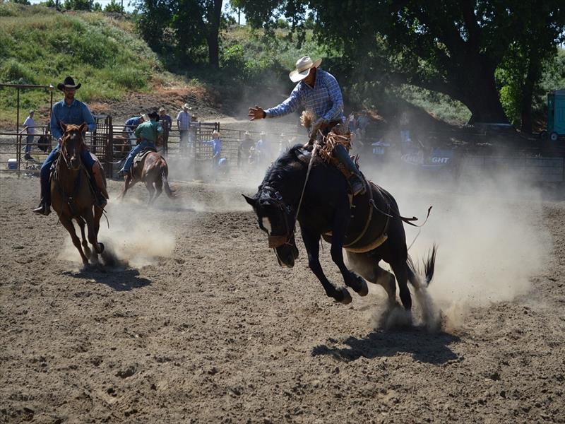 Salone del cavallo americano e della cultura western - Cremona 