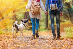 Perch passeggiare con il cane fa bene alla salute