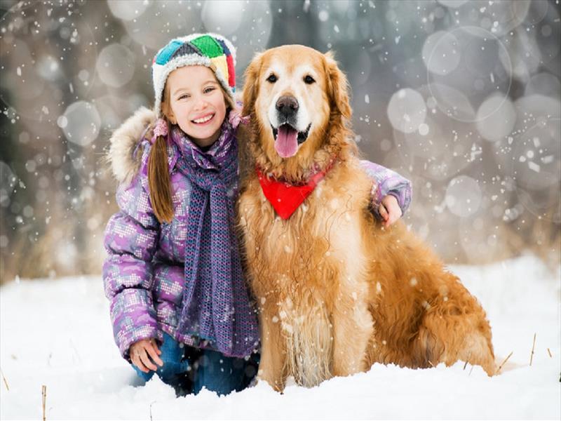 Pet therapy:  i cani stimolano le capacit comunicative e relazionali dei bambini autistici