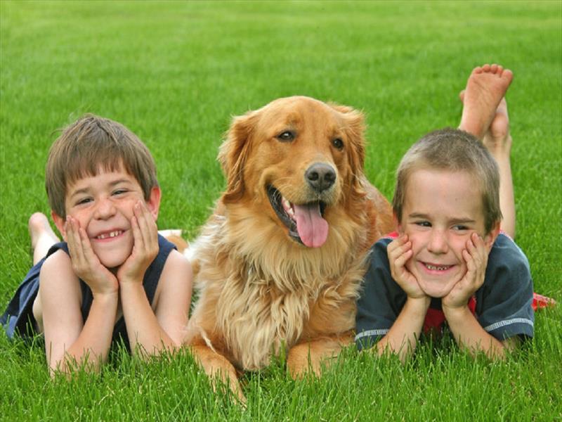 Bambini e cane felici sdraiati sull'erba
