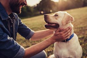 Un bacio per aiutare i cani in difficolt 