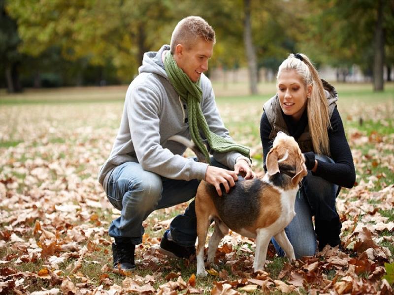 Alla scoperta del Parco Nazionale dAbruzzo con ASD Come On Dog