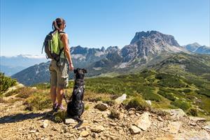 Viaggio con cani, gatti e altri amici pelosetti