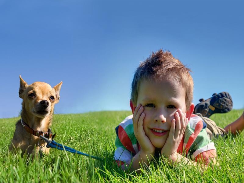 Bambino e cane sdraiati sull'erba sotto il cielo azzurro