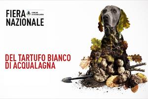 Fiera Nazionale del Tartufo Bianco di Acqualagna -  (Pesaro)