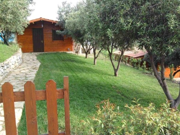 The Planet Holiday - foto 10145.jpg