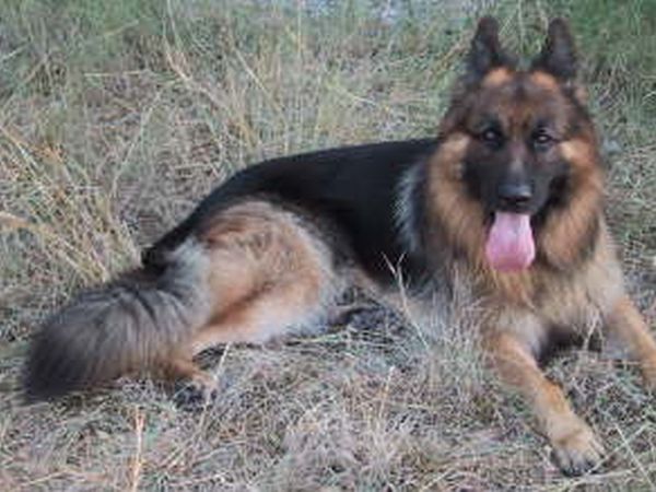 La Francesca Scario Residence - foto 1894.jpg