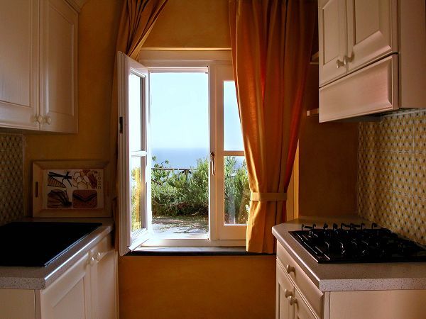 Natta di Monte Tabor  - foto 10712.jpg