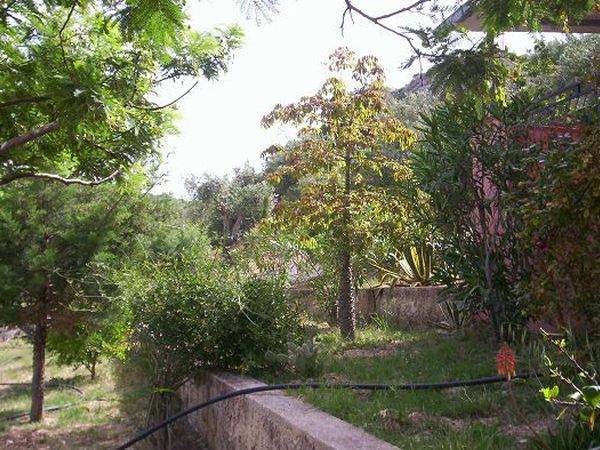 Villa Angela - foto 10713.jpg