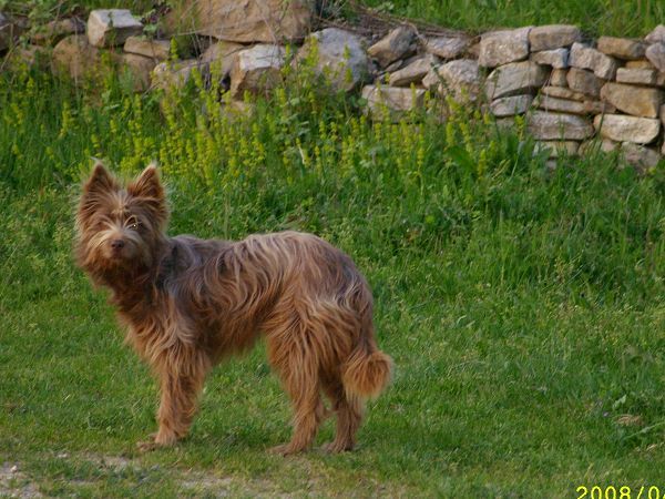 Agriturismo Avellaneta - foto 10941.jpg