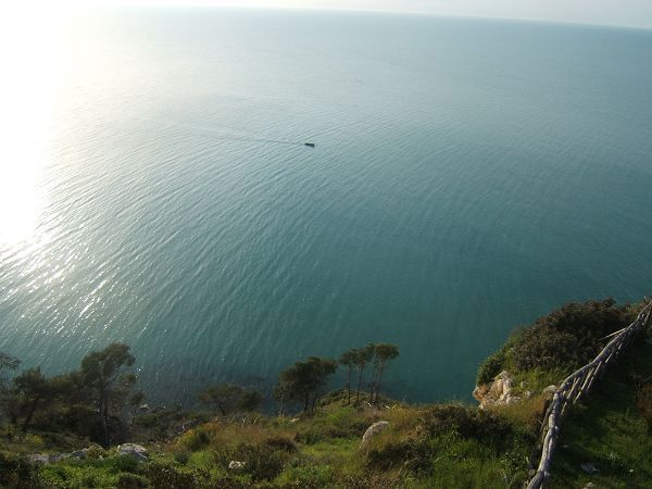 Villaggio OLIMPIA Casa Vacanze - foto 11027.jpg