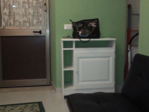 Casa vacanze marsala - foto 11038.jpg