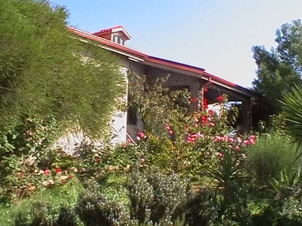 Green Oasi  - foto 11112.jpg