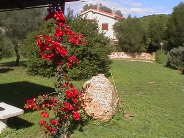 Green Oasi  - foto 11114.jpg