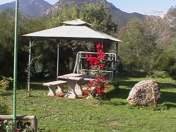 Green Oasi  - foto 11115.jpg