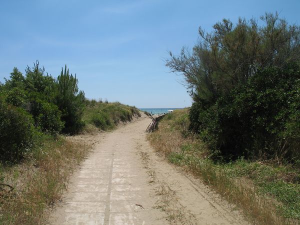 Camping Rosmarina - foto 11334.jpg