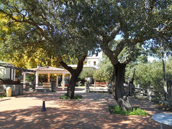 Soffio di Vento - foto 11357.jpg