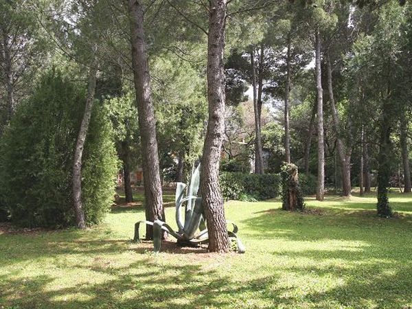 Podere Campalto - foto 11393.jpg