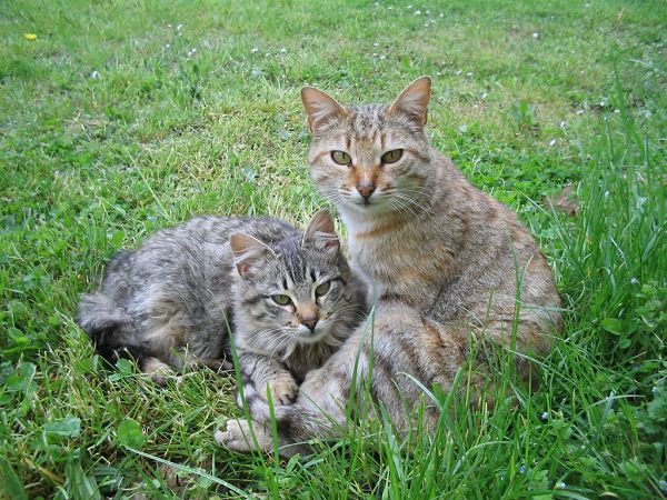 Agriturismo Casalina - foto 11458.jpg