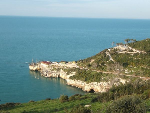 Villaggio OLIMPIA Casa Vacanze - foto 11670.jpg