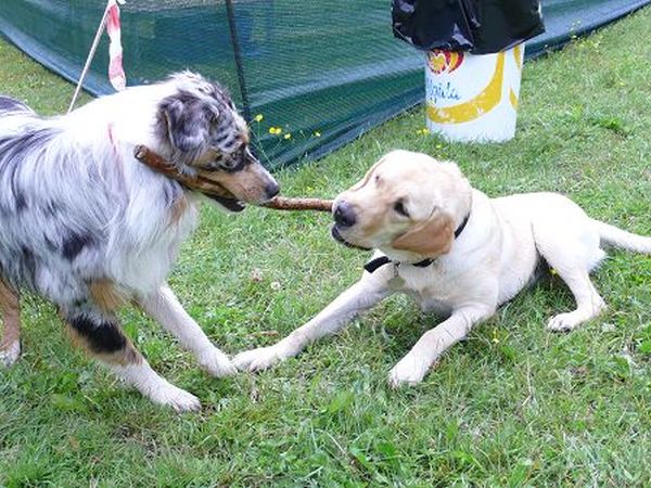 Hotel Cristallo  - foto 11699.jpg