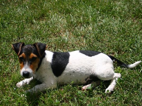 Agriturismo Podere Il Poggiolo - foto 11790.jpg