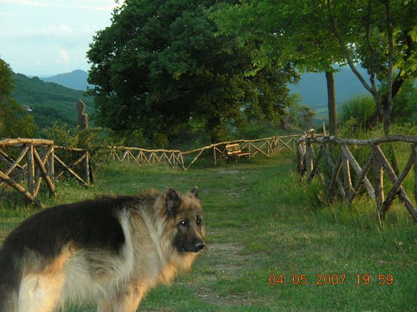 Agriturismo Guinzano - foto 2413.jpg