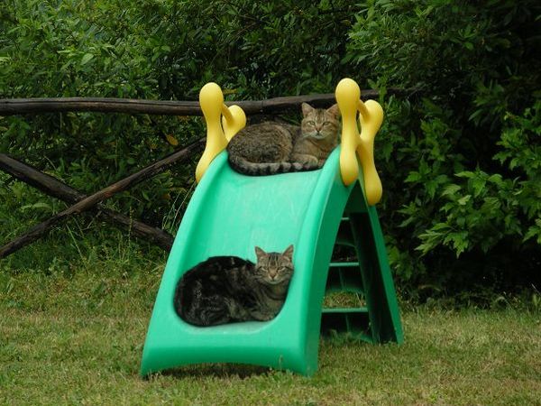 Agriturismo Guinzano - foto 2492.jpg