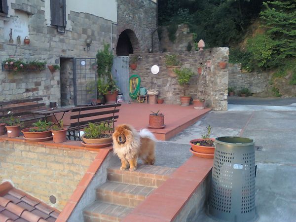 Madonna del Poggio - foto 11835.jpg