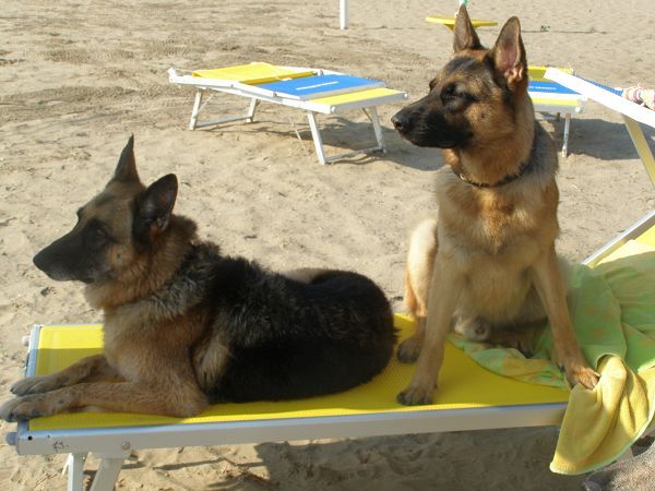 La Spiaggia di Snoopy - foto 11865.jpg