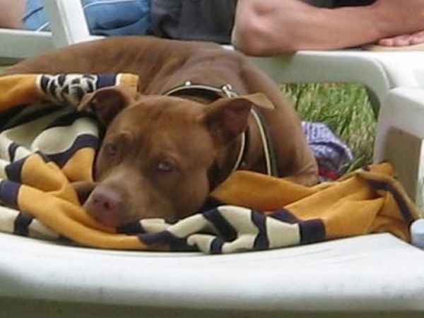 Fattoria di Poggiopiano - foto 11894.jpg