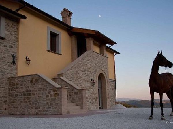 Agriturismo Il Moro - foto 11900.jpg