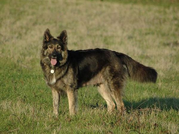 Agriturismo Podere La Giuda - foto 11983.jpg