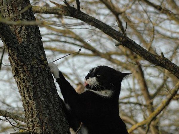 Agriturismo Podere La Giuda - foto 11993.jpg