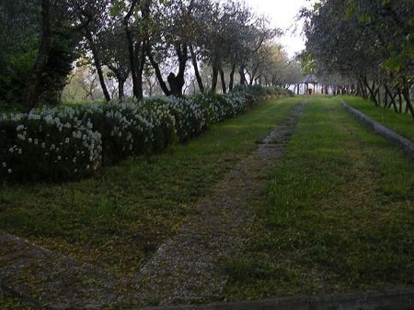 B&B VILLA FRANCESCA - foto 12106.jpg