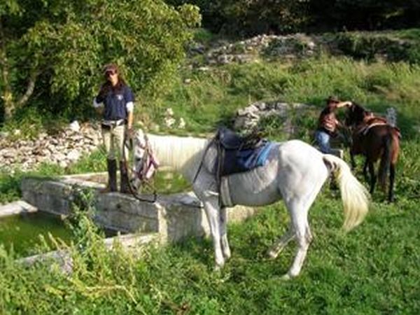 Agriturismo il Felcino - foto 2854.jpg