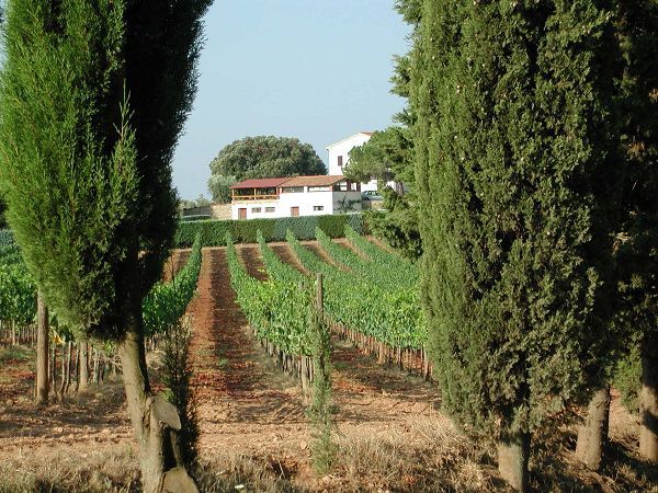 Agriturismo Tesorino - foto 12188.jpg