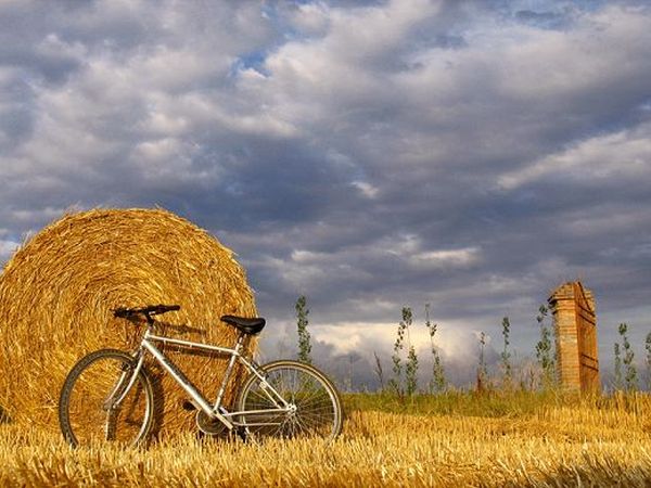 Agriturismo LAirone - foto 2616.jpg