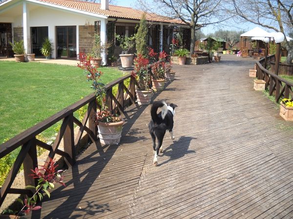 Agriturismo lIntrovabile - foto 12589.jpg