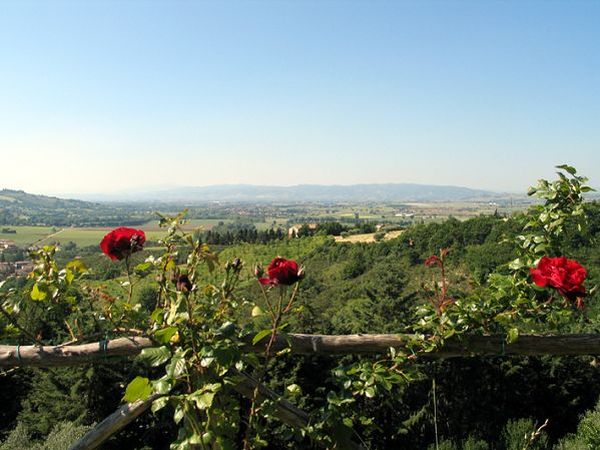 Castel dArno - foto 12771.jpg