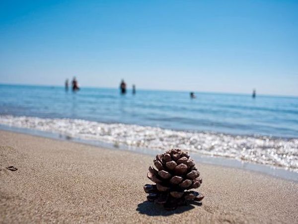Masseria Macchia e Relais San Pio - foto 7863.jpg