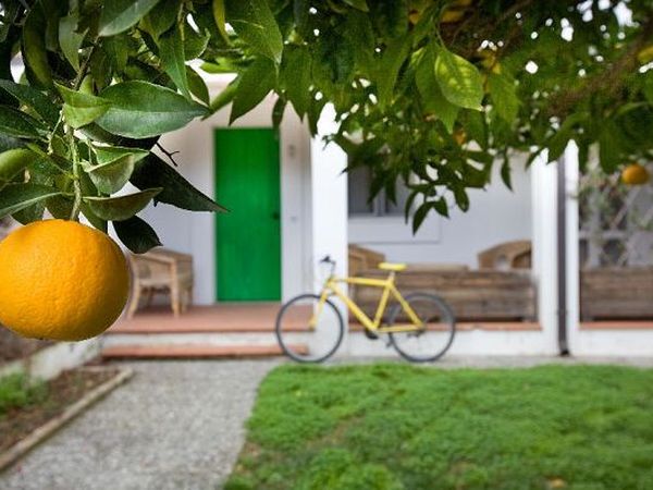 Masseria Macchia e Relais San Pio - foto 7867.jpg