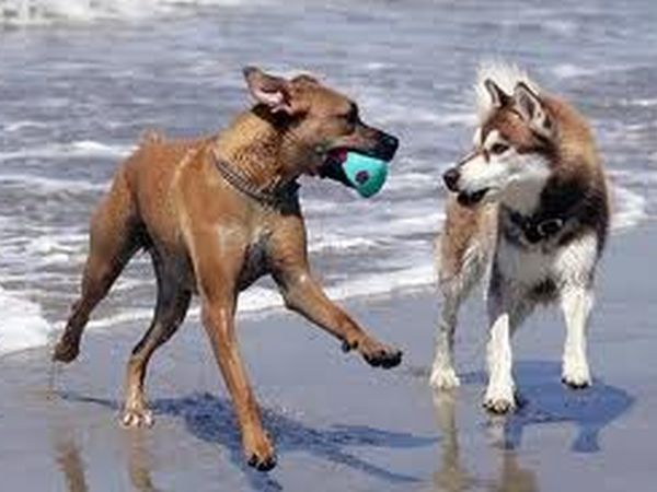 Hotel Lotus - foto 12958.jpg