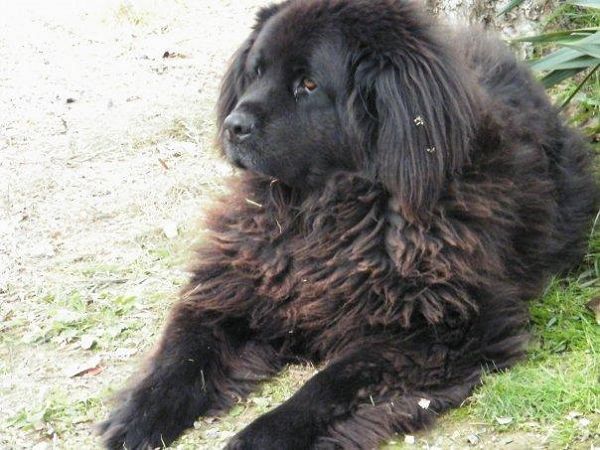 Residence Talamone il Poderino - foto 3355.jpg