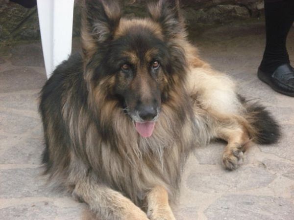 Residence Talamone il Poderino - foto 3354.jpg