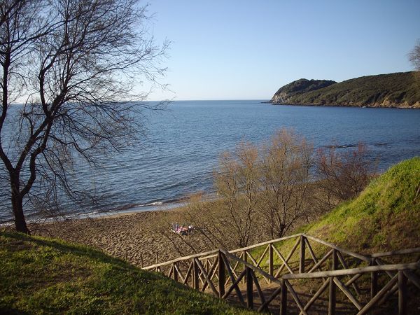 Agriturismo lOliveto - foto 13030.jpg