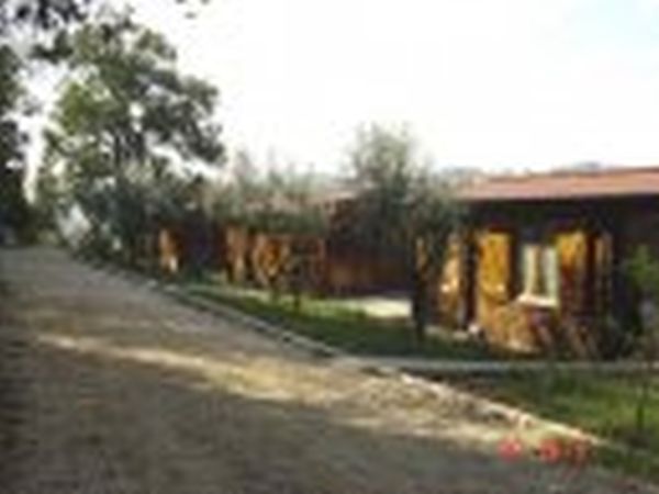 Agriturismo Cisogna - foto 2841.jpg