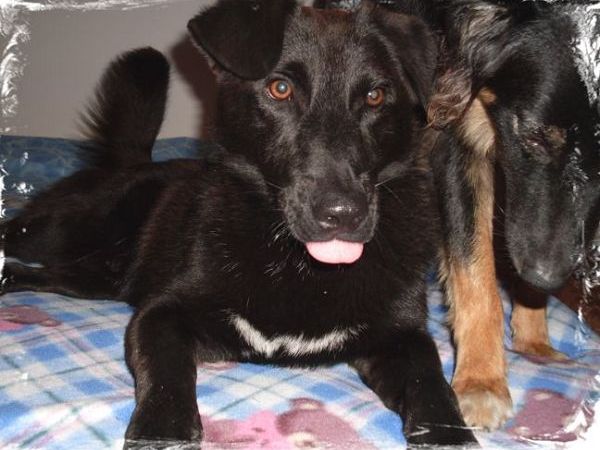  Albergo B&B Astor Garn� - foto 13264.jpg