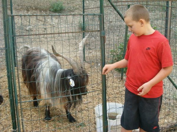 Agriturismo SantAndrea - foto 13341.jpg