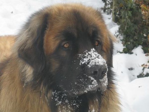 B&B La Casa Rossa - foto 13401.jpg